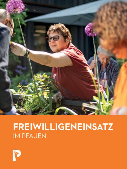 Flyer Freiwilligenarbeit